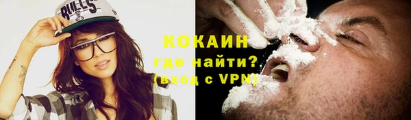 PSILOCYBIN Богданович