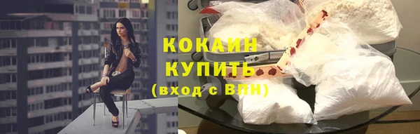 PSILOCYBIN Богданович