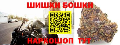 apvp Партизанск