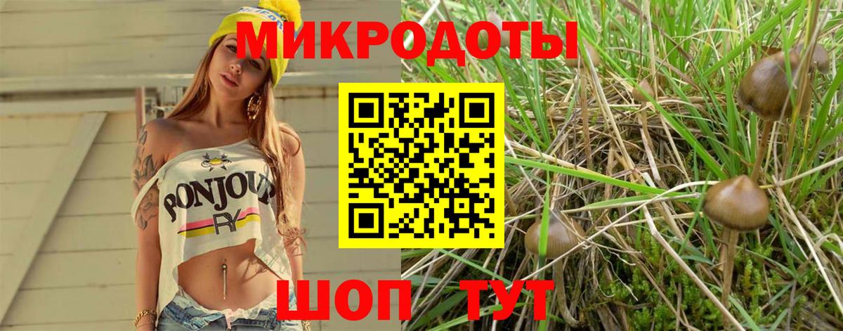 Псилоцибиновые грибы ЛСД  Вход с VPN  Чернушка 