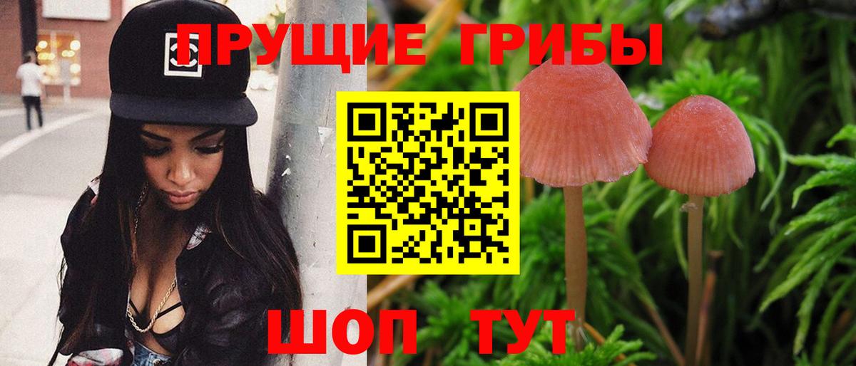 Галлюциногенные грибы мухоморы Чернушка